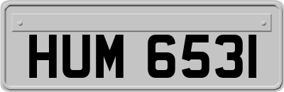 HUM6531