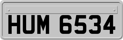 HUM6534