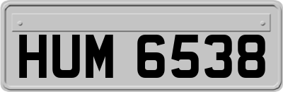 HUM6538