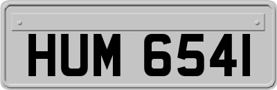 HUM6541