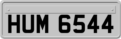 HUM6544