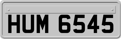 HUM6545