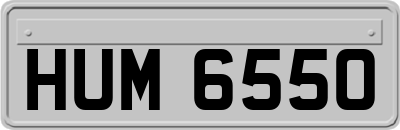 HUM6550