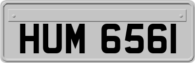 HUM6561