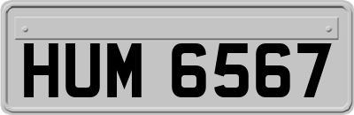 HUM6567