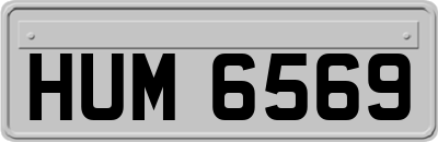 HUM6569