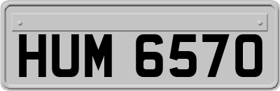 HUM6570