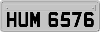 HUM6576