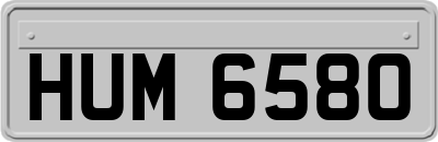 HUM6580