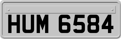 HUM6584