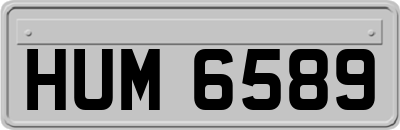 HUM6589