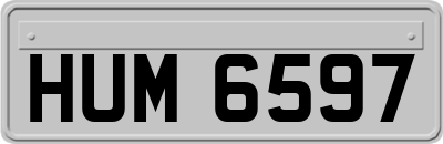 HUM6597