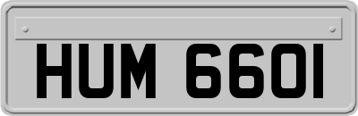 HUM6601