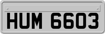 HUM6603