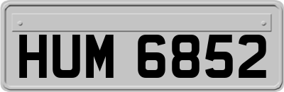 HUM6852