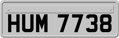 HUM7738