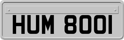 HUM8001