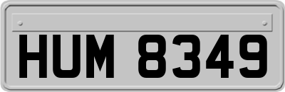 HUM8349