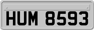 HUM8593