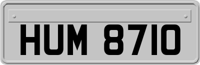 HUM8710