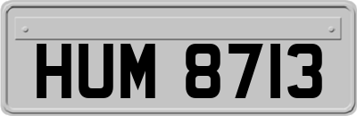HUM8713