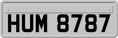 HUM8787