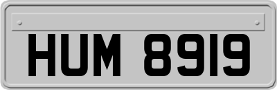 HUM8919