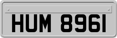 HUM8961
