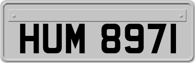 HUM8971