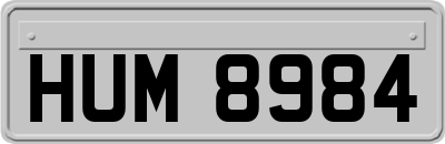 HUM8984