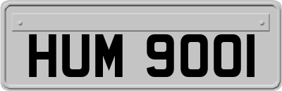HUM9001