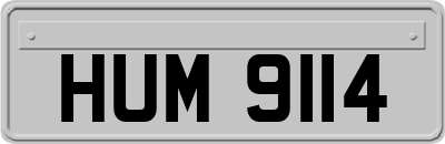 HUM9114
