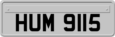 HUM9115