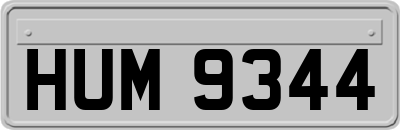 HUM9344