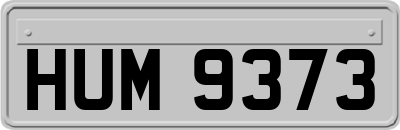 HUM9373