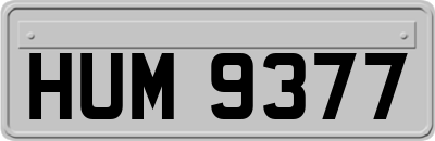 HUM9377
