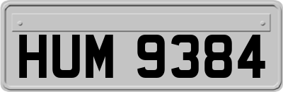 HUM9384