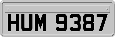 HUM9387