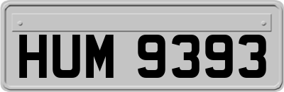 HUM9393