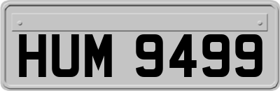 HUM9499
