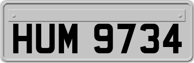 HUM9734