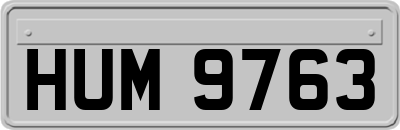 HUM9763