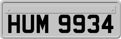 HUM9934