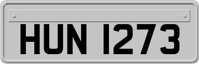 HUN1273