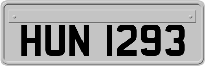 HUN1293