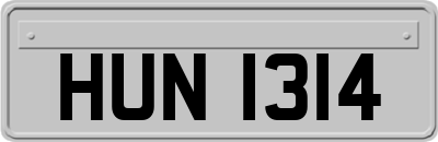 HUN1314