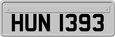 HUN1393