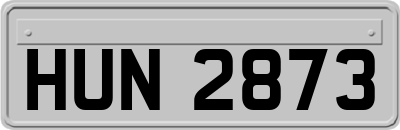 HUN2873