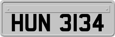 HUN3134