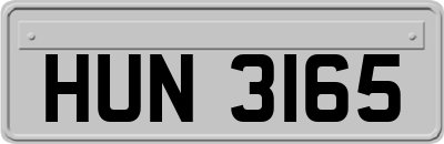 HUN3165